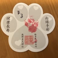 わんだフルTRAIN　2日目です