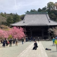鎌倉を知る　－－妙本寺と比企能本ーー
