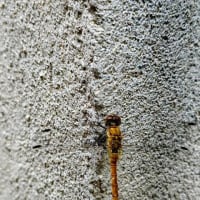 終わった