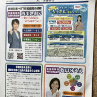 私の永年の選挙活動