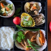 七つ星のお弁当