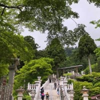 登山におすすめの抱っこ紐