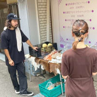 「八尾本町センターマルシェ」の開催　～小売市場の地で地域の賑わいづくり～