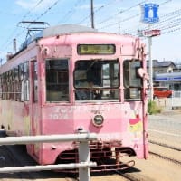 愛と青春の旅立ち－高山本線と万葉線の旅１７．
