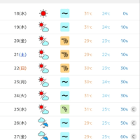 夏だね…