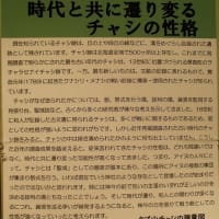 北海道　標津町歴史民俗資料館③伊茶仁カリカリウス遺跡③トビニタイ文化　竪穴住居　チャシ