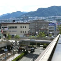 2025年5回目の「サボテンの開花」は「親・孫２・孫3サボテン」です