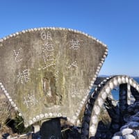貝がら公園からの富士山