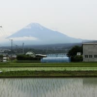 静岡県 in ドクターイエロー　２