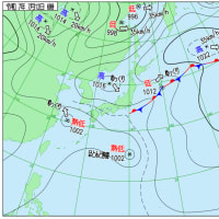 夏の朝