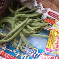 どうするか