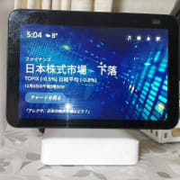 ２台目のエコーショー８
