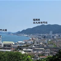 下関国際硬式野球部「野球のだいご味は弱者が勝つこと」①&仲良くおネンネ(*^^*) - みのみん