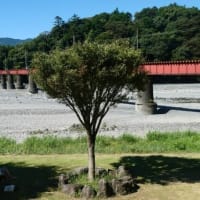 峠で思案