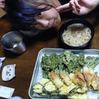 天ぷらに稲庭うどん　最高！！