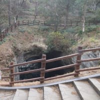 仔犬と静岡旅行 (前編)