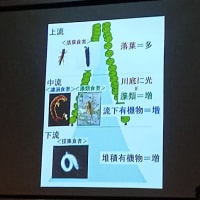 たかつき市民環境大学