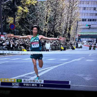 箱根を制するもの　2024箱根往復駅伝大会　復路