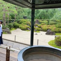 鎌倉散歩明月院