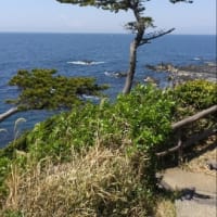 今日いち-2025年4月11日