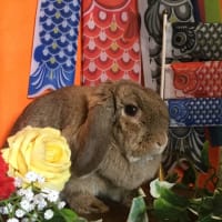 沢山のご来店ありがとうございます！！