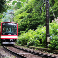 箱根登山鉄道
