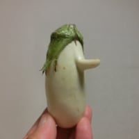 外人？
