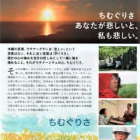 15歳の少女から学ぶ沖縄・映画「ちむぐりさ」