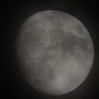 りんごの消毒でホースが破裂！お月様　月齢12.4