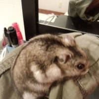 お疲れ様でした( ●´∀｀●)