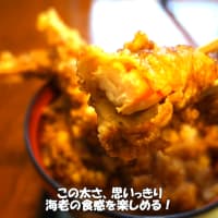 【割烹寿司 やまと】黒　大海老天丼(ご飯大盛り)【食べログjsh】新潟県上越グルメ