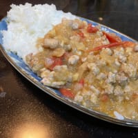 お気に入りのカレー / My favorite chicken curry