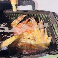 夜焚き