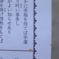 14 ひとり帰国日記/宇治上神社 (Japan Trip Alone 2024 vol.14/Uji-gami Shrine)