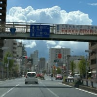 急に夏
