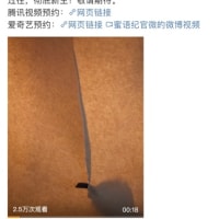 ドラマ「蜜語紀」に起こった騒動。続き