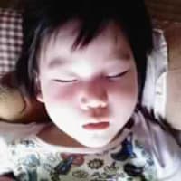 気持ち良さそうに寝てます(^^)