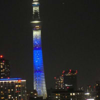 日向坂46の虹開催記念特別ライティング23