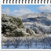 かつらぎ町も雪化粧