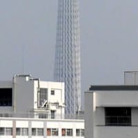 ２０２５／７／７の朝の東京スカイツリー