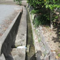 田植え準備と志岳会同窓会