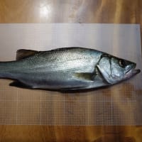 一緒に過ごせるのもあと少し。