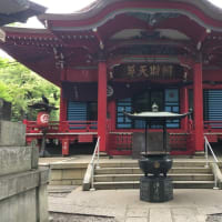 曇りの日の井の頭公園   2023／7／5（水）  画像