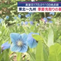 今日いち-2025年6月7日
