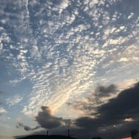 秋晴れ