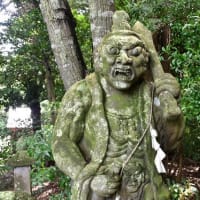 仁王像とナギ　一之宮神社　2025/05/22（鹿児島）