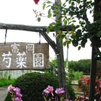 冨岡芍薬園   R- 7- 5-14