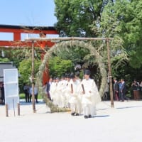 2025　上賀茂神社 夏越大祓式