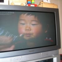 反響 探偵ナイトスクープのその後 sukusukuダイヤリー 反響 探偵ナイトスクープのその後 sukusukuダイヤリー