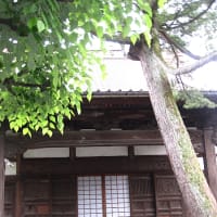 金沢市: 願 念 寺 当寺と芭蕉と小杉一笑！